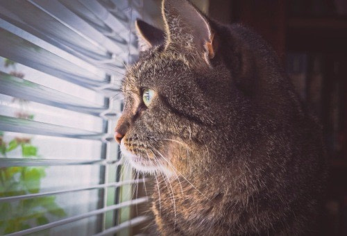 Gefängnis Wahrnehmung