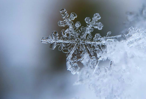 32 Zitate Frieden und Harmonie