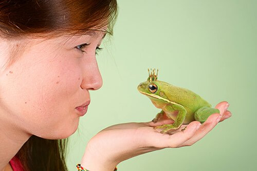 prinz-kuss-frosch